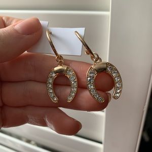 Horse shoe good luck earrings